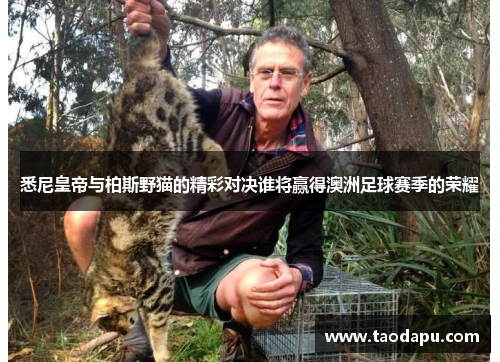 悉尼皇帝与柏斯野猫的精彩对决谁将赢得澳洲足球赛季的荣耀